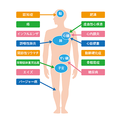 歯周病が全身に与える影響